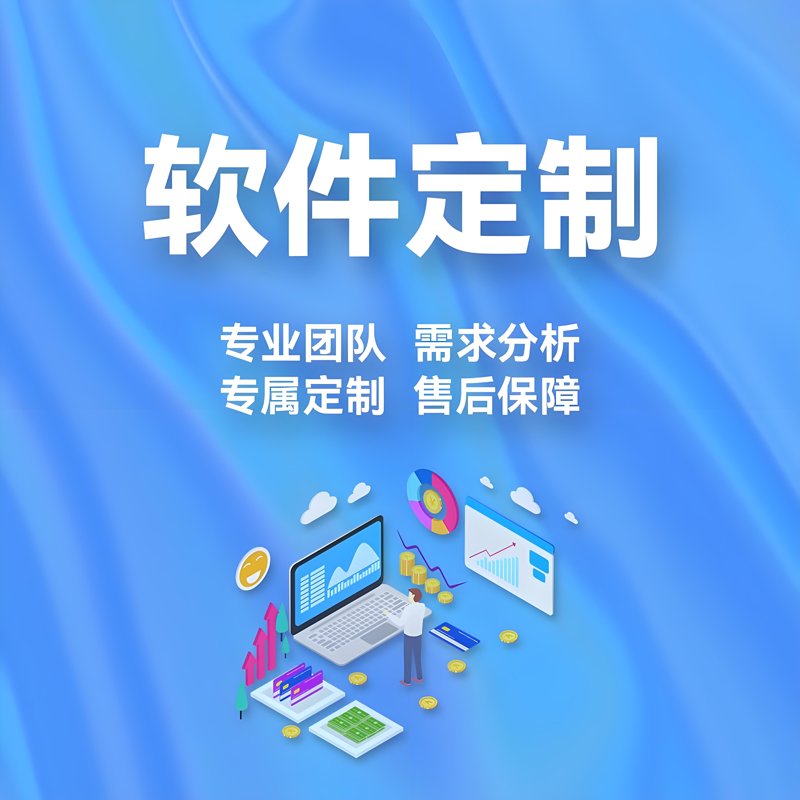 软件定制开发：企业数字化转型的导航灯